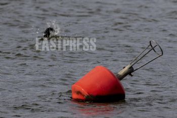 EA295688, Eastpress, Porvoo, Finland